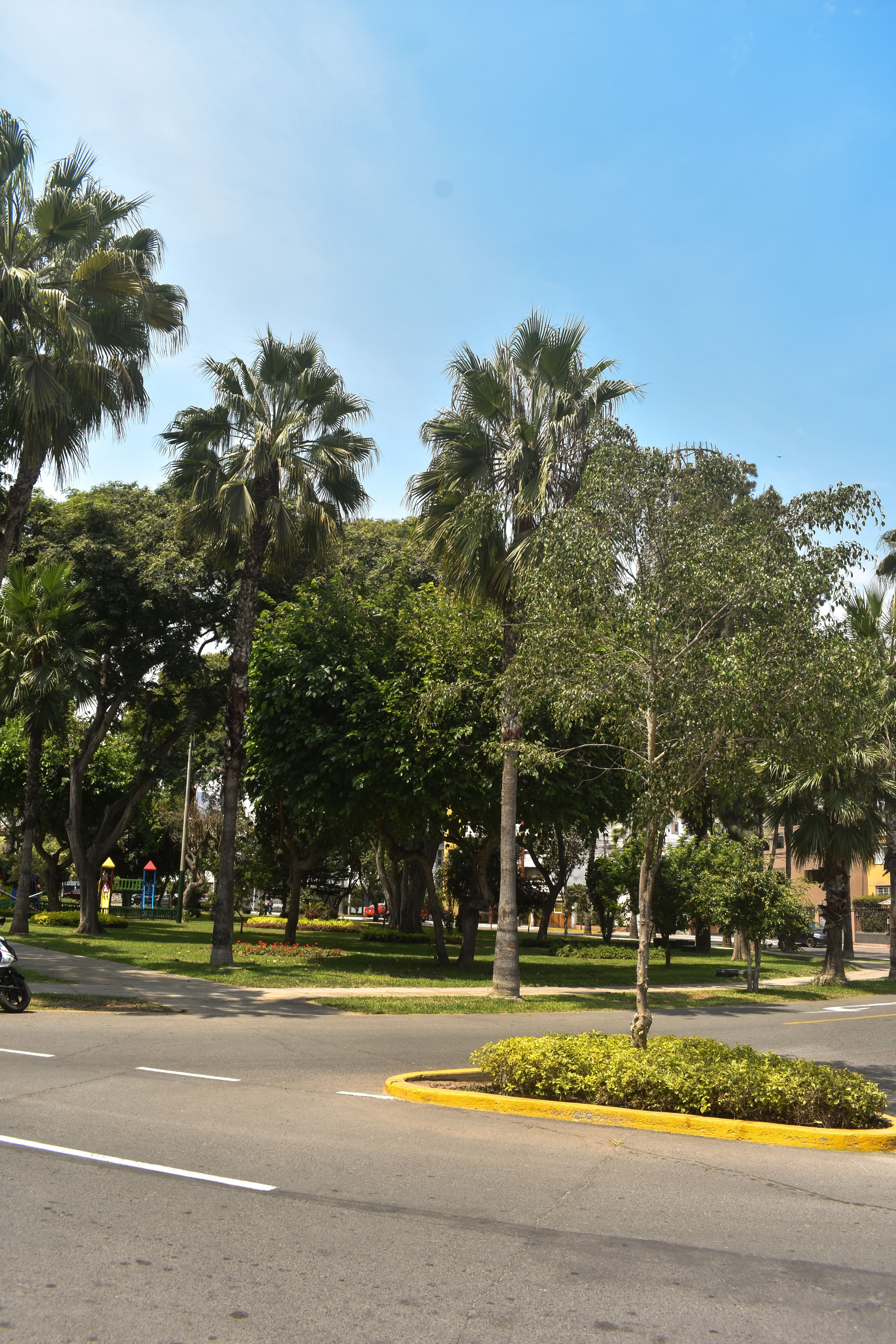 Departamento 1 Dormitorio En Surco