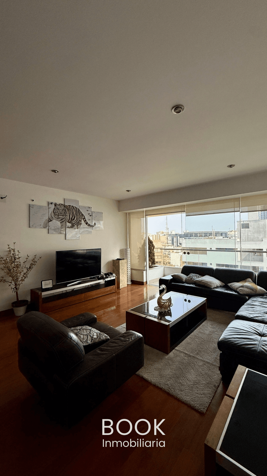 Dúplex De Lujo En San Isidro 3